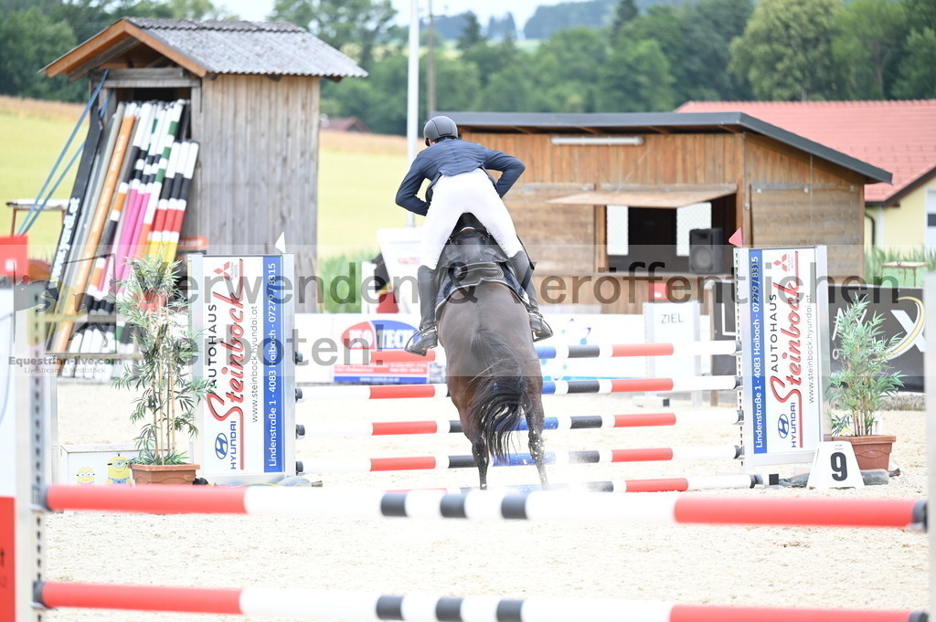 DSC_4559 | equestrian-live-com