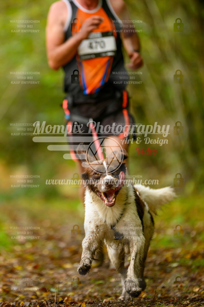 MompixPhotography_20TSB_E1_Run-158 | PayLife