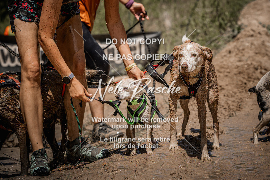 nelerasche_Hoope2026_Sa1230-1300_586 | nelerasche