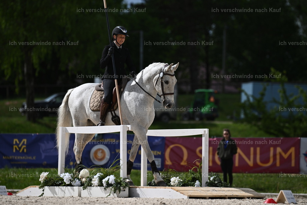 PI26_ST_Sara_Landvogt226_2342.JPG | working equitationturnier fotograf videograf stoibphotography marixx film working equitation deutschland reitsport turnierfotografie eventfotografie equestrian events