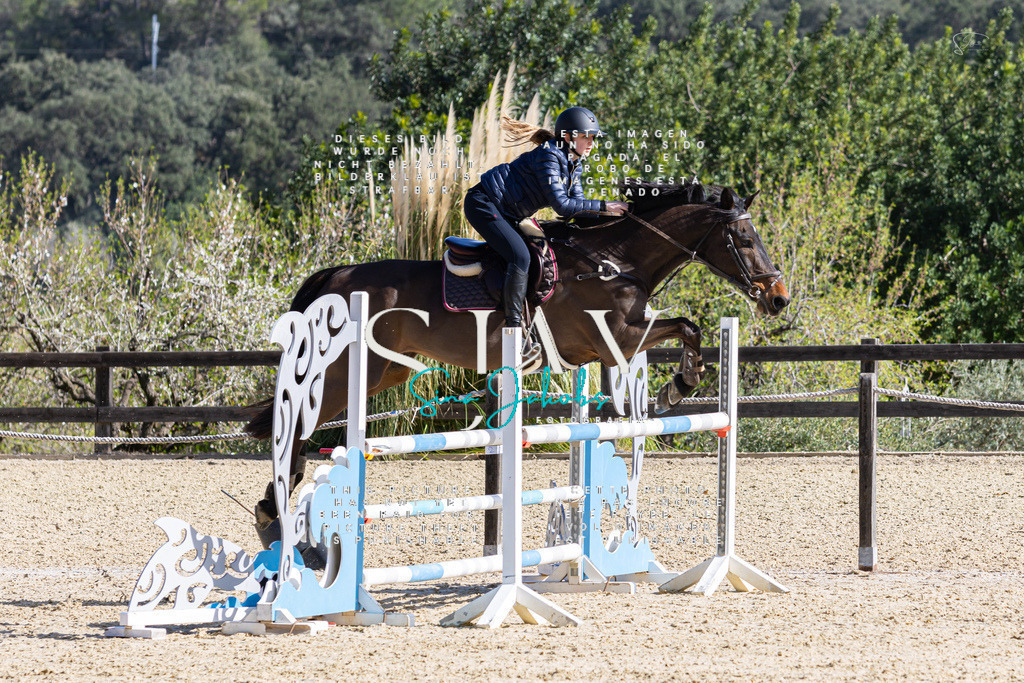 IMG_5314 | s-jay-photography - Realisiert mit Pictrs.com