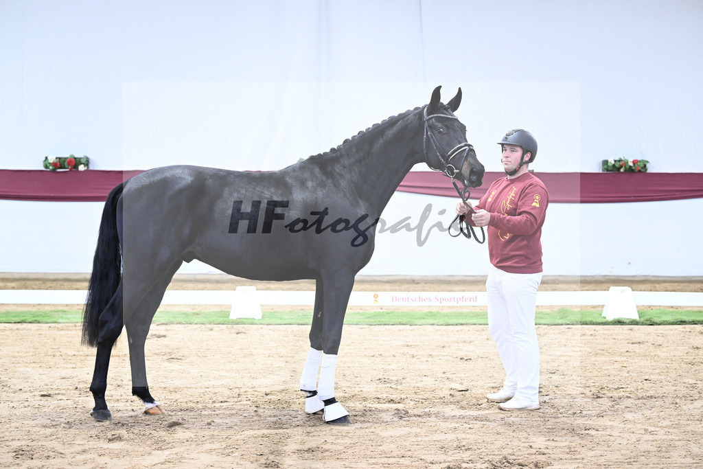 Kat-Nr. 34 Iron x Fuersten-Look_Thomas Casper_47251158 | hf-fotografie - Realisiert mit Pictrs.com