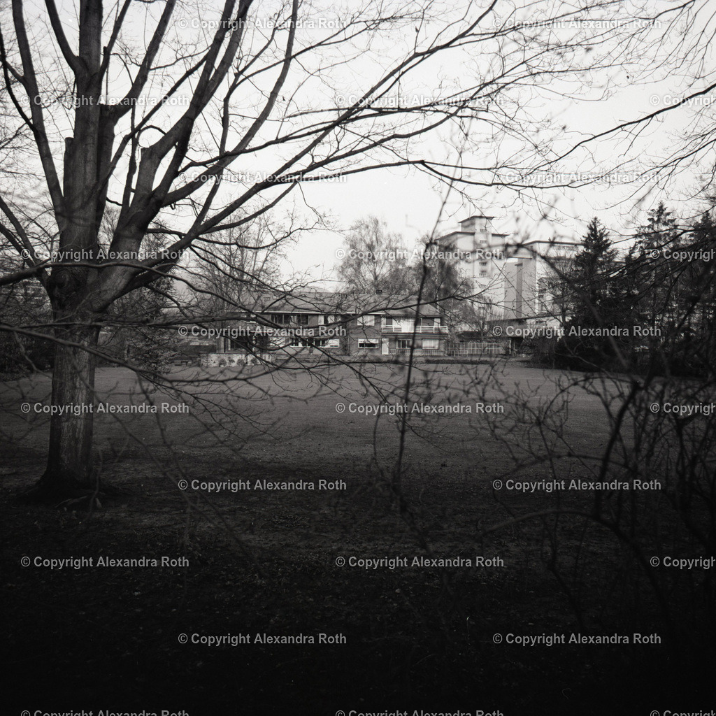 Aarau_0877 | onlineshop - Realisiert mit Pictrs.com