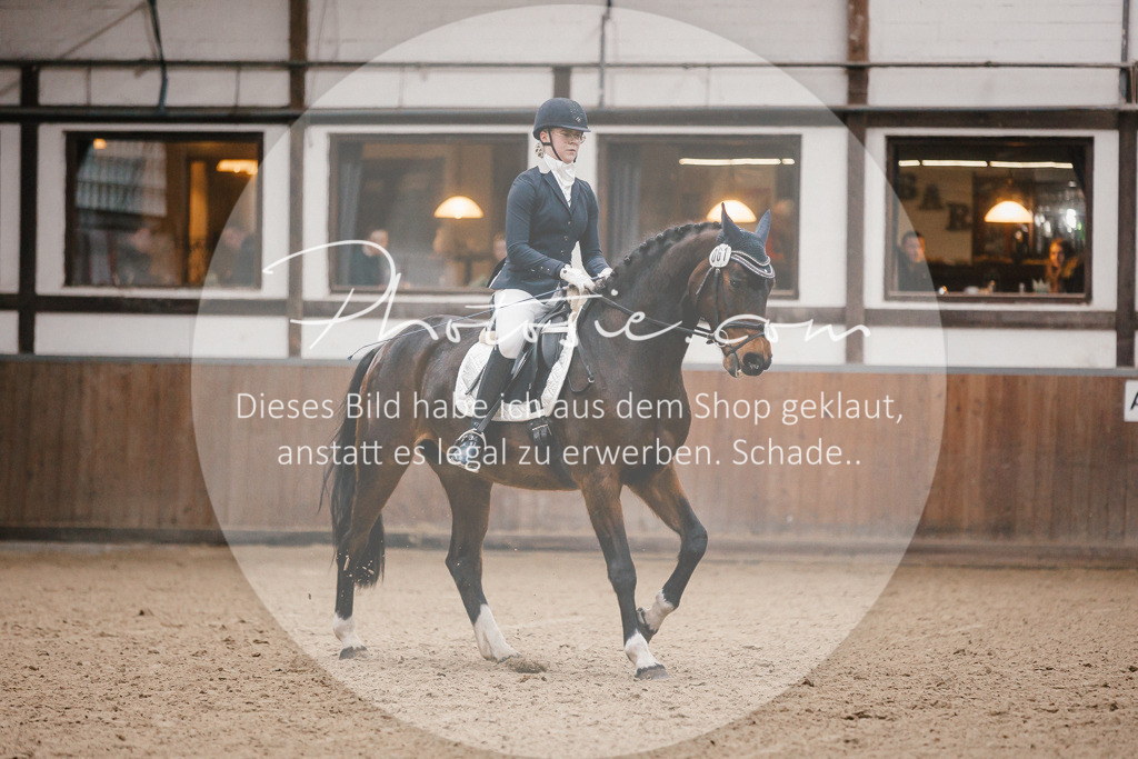 3I6A6048 | Stimmungsvolle Portraits und Reitsportfotografie im Ruhrgebiet und im Münsterland.

Pferdefotografie, Hundefotografie, Tierfotografie, Reportagen, Portraits von Tier und Mensch, Turnierfotografie in Bochum, Recklinghausen, Marl, Haltern am See, Dülmen.. - Realisiert mit Pictrs.com