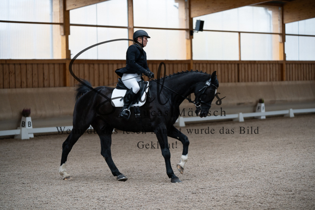 A7V02252 | Pferdefotograf