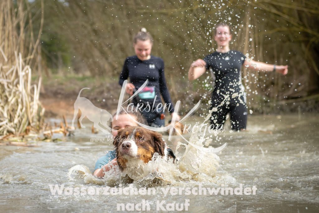 1559_ZZ95230 | kk-dogfotos