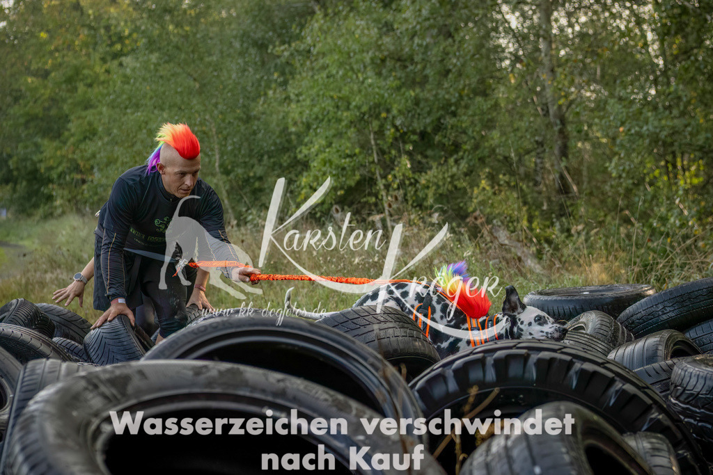 1012_ZZ93856-Bearbeitet-2 | kk-dogfotos