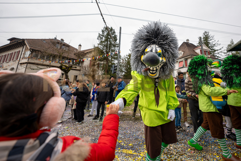 104_Umzug_Fasnacht_Reinach__kunzmedia.ch | OnlineShop für Bilder kunzmedia.ch