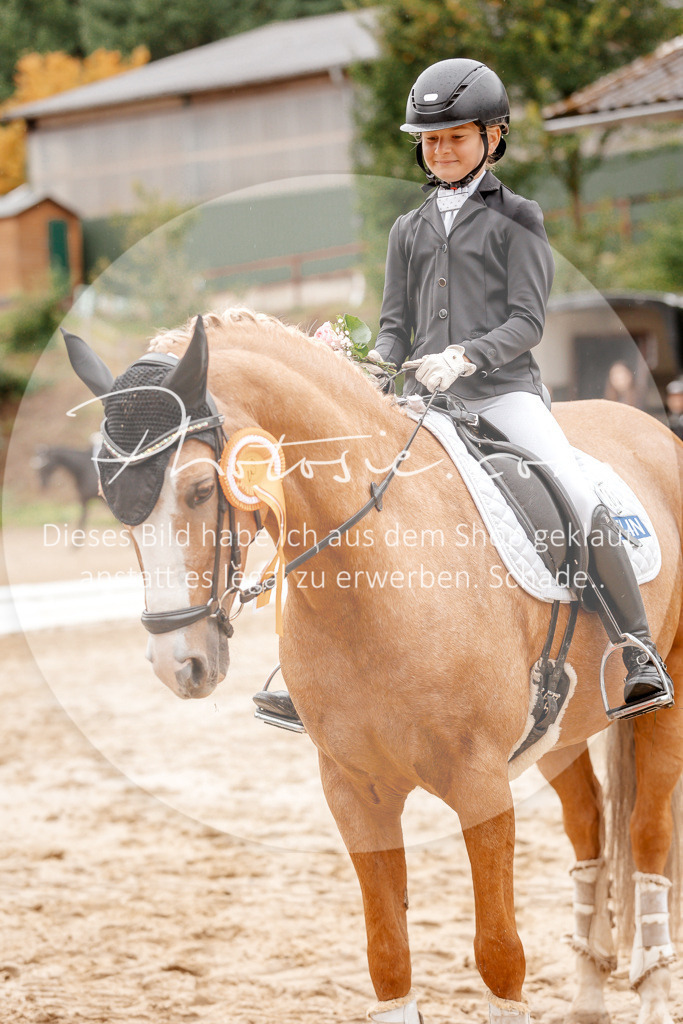 3I6A6006 | Stimmungsvolle Portraits und Reitsportfotografie im Ruhrgebiet und im Münsterland.

Pferdefotografie, Hundefotografie, Tierfotografie, Reportagen, Portraits von Tier und Mensch, Turnierfotografie in Bochum, Recklinghausen, Marl, Haltern am See, Dülmen.. - Realisiert mit Pictrs.com