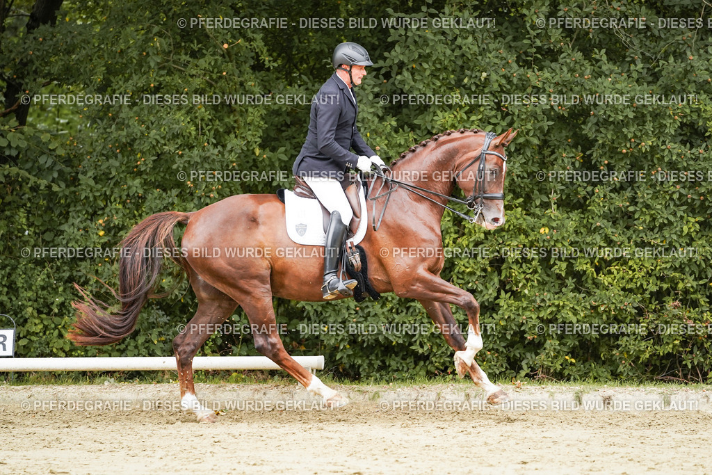 DSC03762 | Pferdegrafie