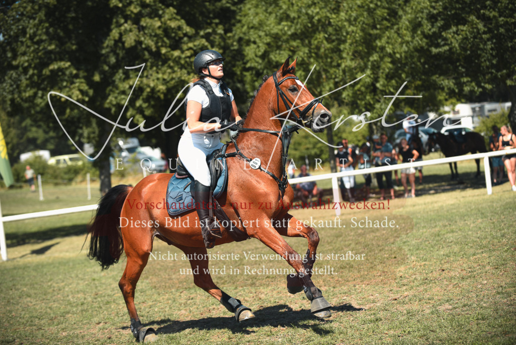 DSC_6953 | Pferde- und Turnierfotografie in Westsachsen. Pferdeportraits, Auftragszeichnungen und intuitive Kunst.