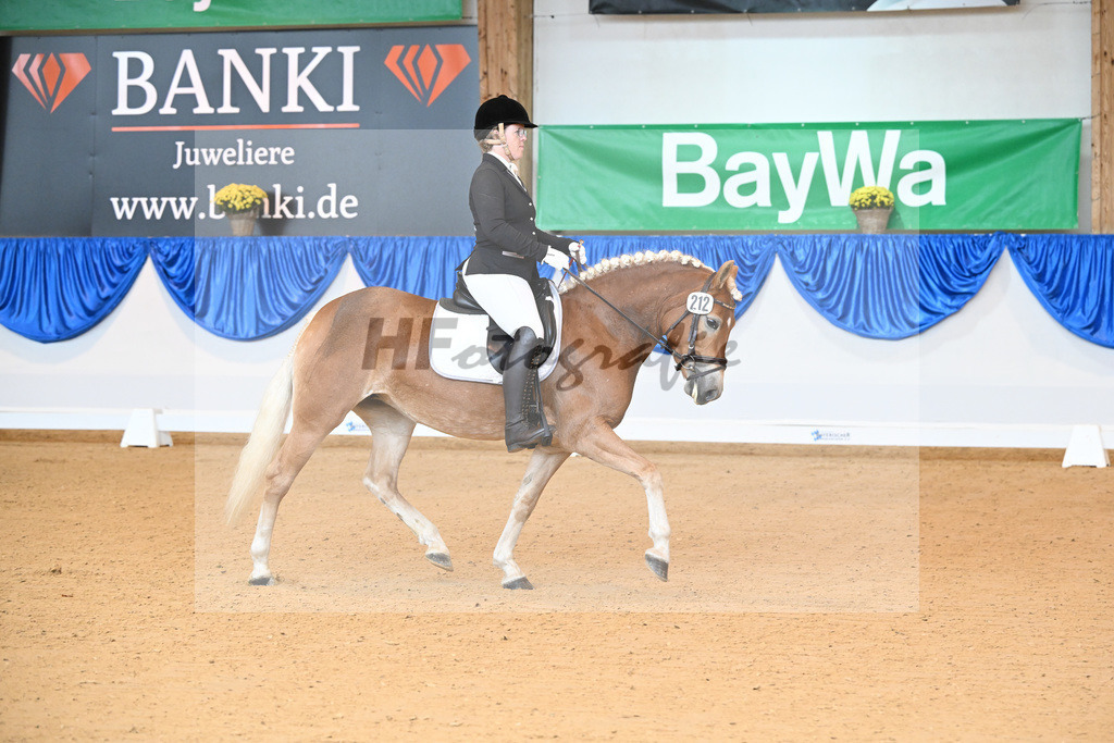 Kat-Nr. 212 Eyra_ZG Wolfgramm_54221600 | hf-fotografie - Realisiert mit Pictrs.com