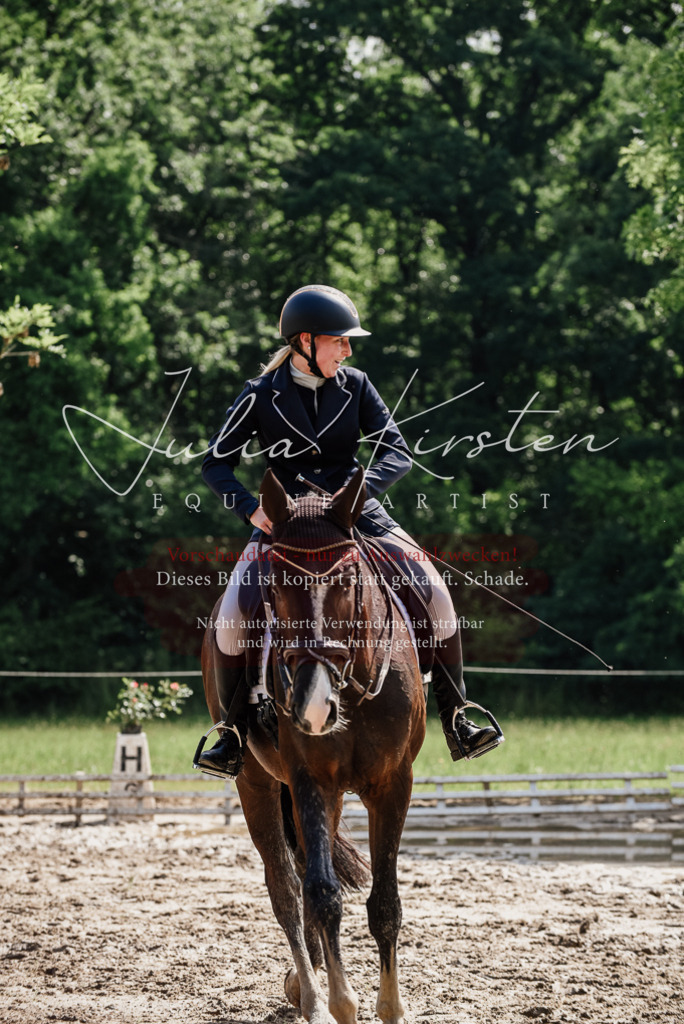DSC_0139 | Pferde- und Turnierfotografie in Westsachsen. Pferdeportraits, Auftragszeichnungen und intuitive Kunst.