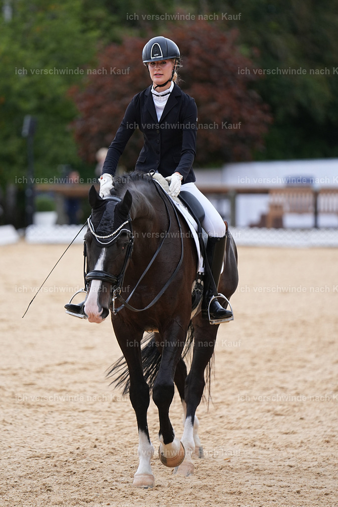 3-147-Dressur M_-Marixx-1891 | working equitationturnier fotograf videograf stoibphotography marixx film working equitation deutschland reitsport turnierfotografie eventfotografie equestrian events
