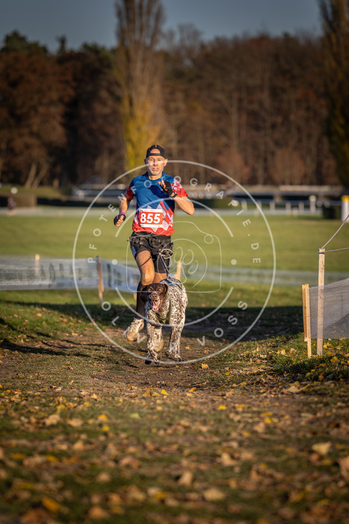 CaniXpix_DV3A3942 | Hundefotografie, Tierfotograf, Pfotenfotografie, Fotoshooting Hund, Hunde Portrait, Hundesport, Hundeportraits, Heideshooting, Hunde, Sportfotograf, Hundefotograf, Turnierhundsport, THS,  - Realisiert mit Pictrs.com