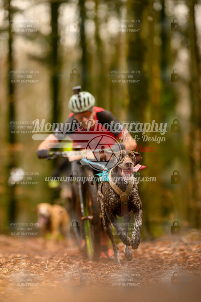 MompixPhotography_Habay2024_SA_Scooter-20 | PayLife