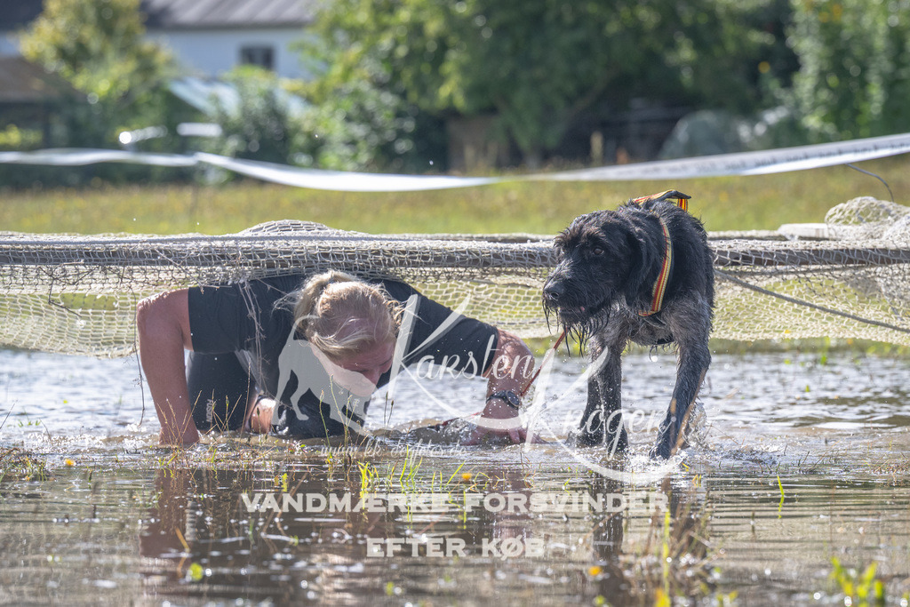 1205_ZZ90015 | kk-dogfotos