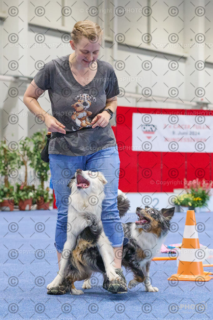 202406_ÖKV-IHA-Tulln24_DSC_4621 | proPHOTO - Realisiert mit Pictrs.com