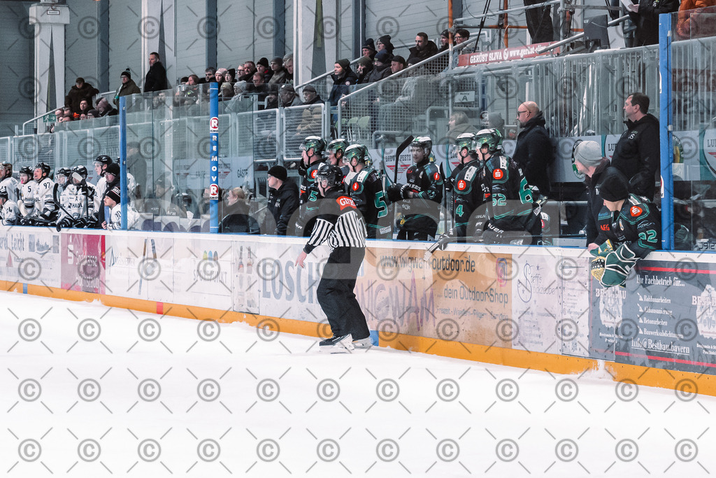 Alligators_vs_Passau_03_12_2025-46 | Höchstadt Alligators Fotogalerie: Eishockey-Action aus Franken. Professionelle Spielfotos, Portraits & Stadionbilder zum Download. Jetzt entdecken! - Realisiert mit Pictrs.com