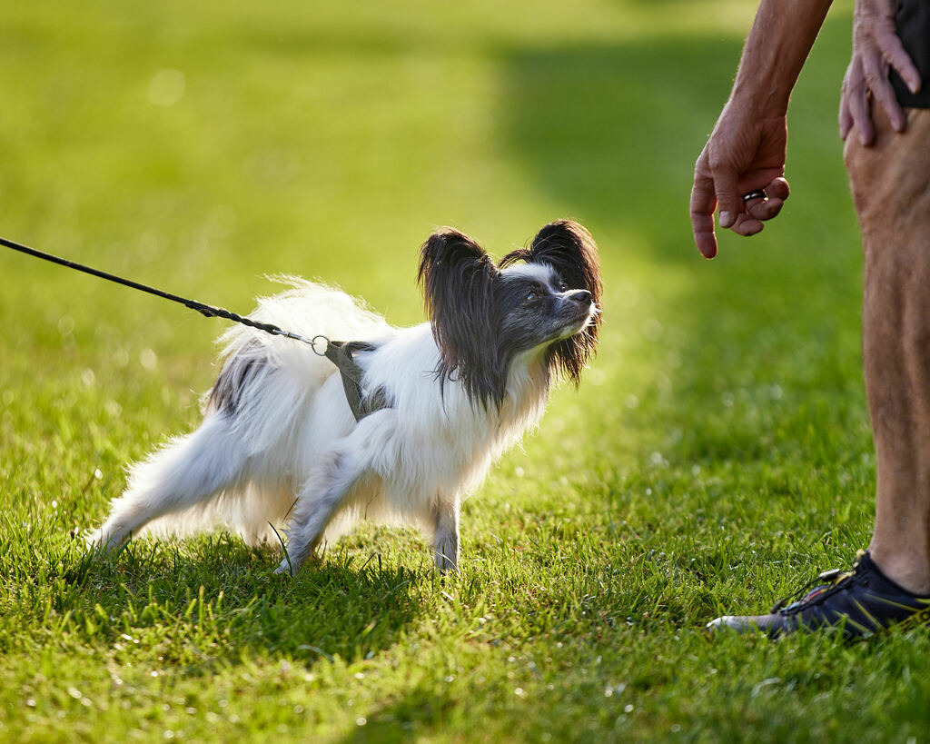 580A0016 | Peter Fridle Fotografie - Realisiert mit Pictrs.com