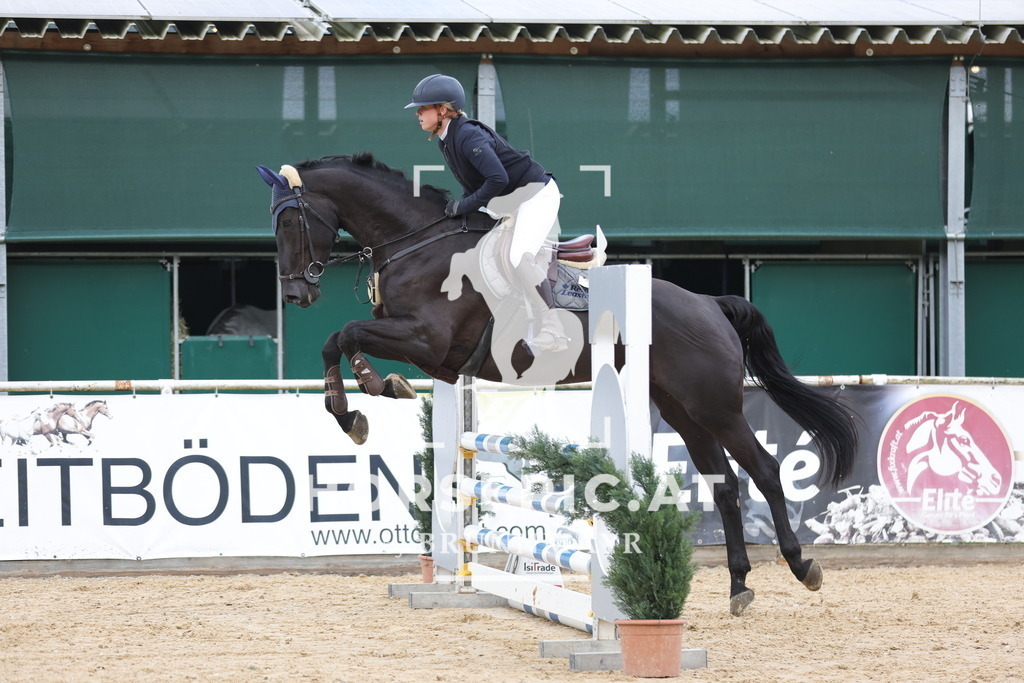 0P6A2480 | Willkommen bei Brunnmayr - Design & Fotografie – Ihrem Spezialisten für Reitturniere und Pferdeveranstaltungen in Oberösterreich, Salzburg und Bayern! Seit über 17 Jahren sind wir leidenschaftlich dabei.