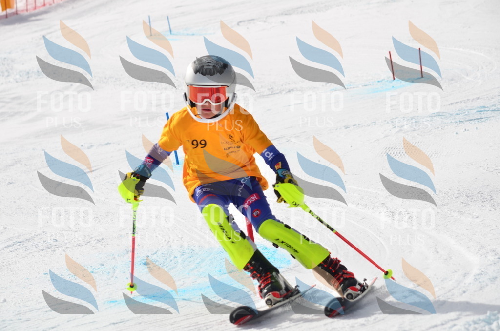 C8112 | holidayphoto