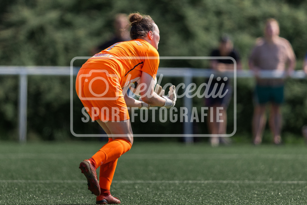 Fußball I Frauen I Freundschaftsspiel I DJK Arminia Ibbenbüren - DSC Arminia Bielefeld I 14967 | realhellocedii - Realisiert mit Pictrs.com