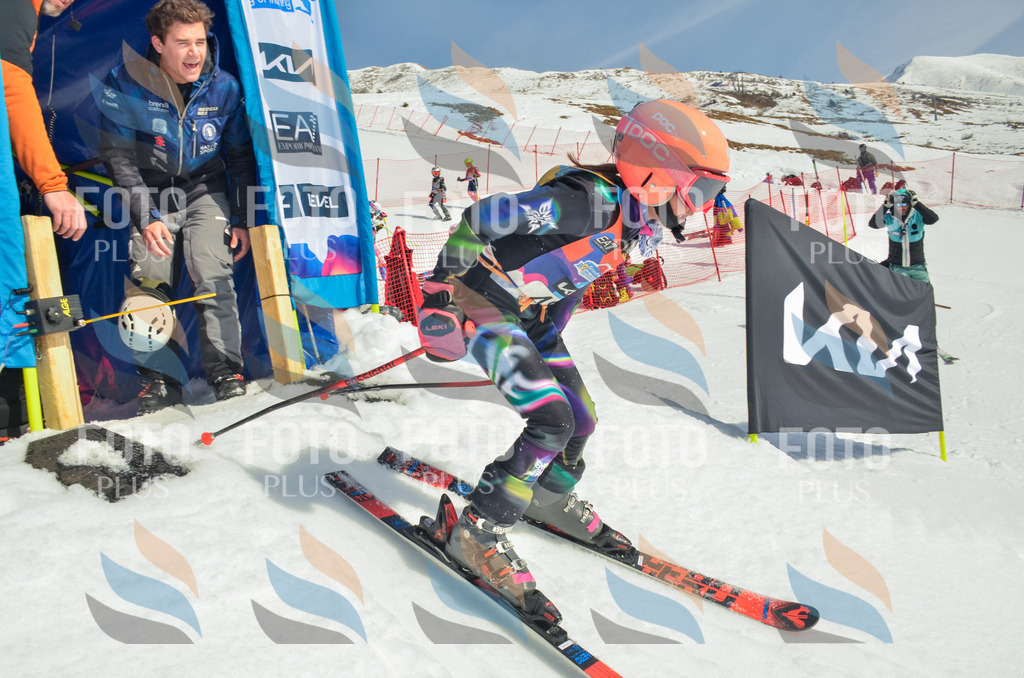 _ELE5161 | holidayphoto