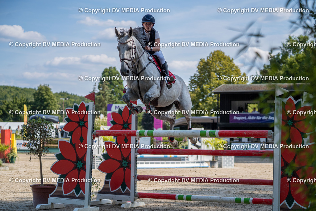 Hessische Tag 1-1595 | dv-media-shop - Realisiert mit Pictrs.com