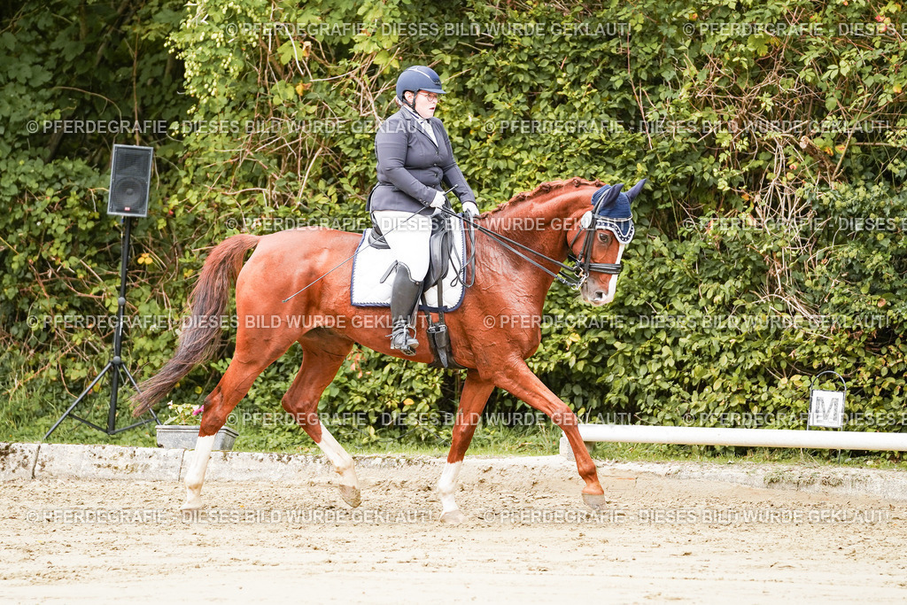 DSC03119 | Pferdegrafie