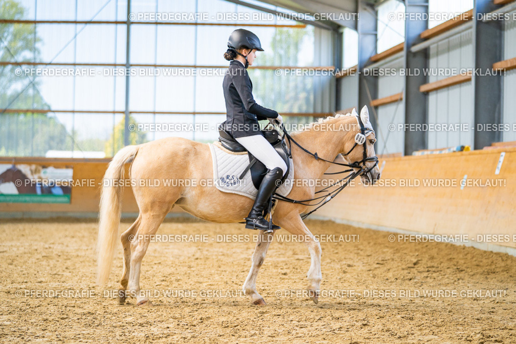 DSC08673 | Pferdegrafie