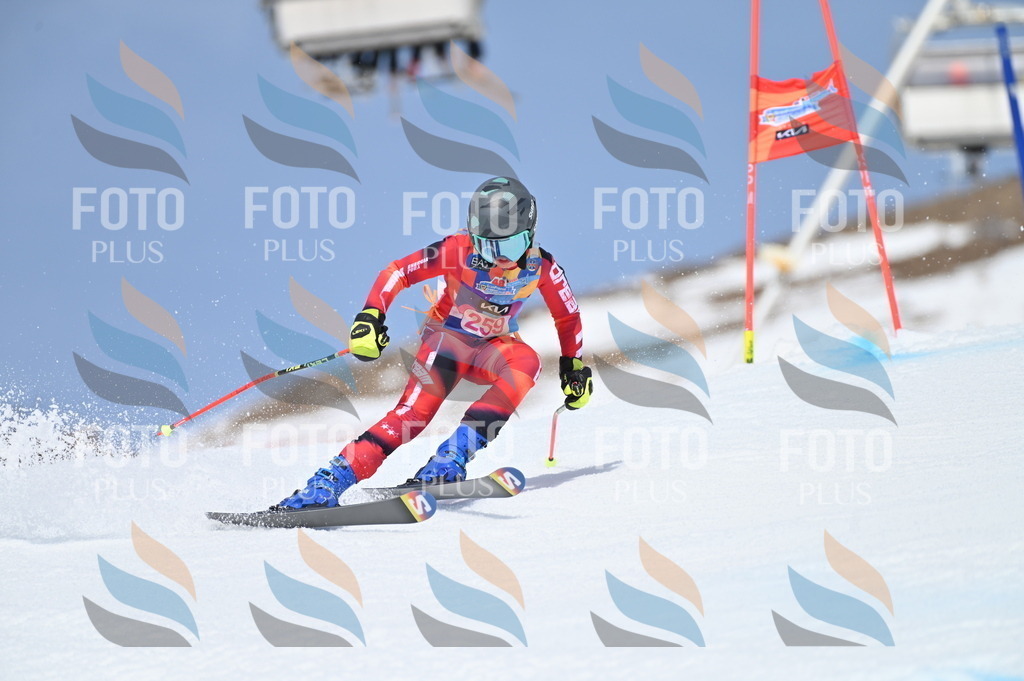 BGV_2047 | holidayphoto