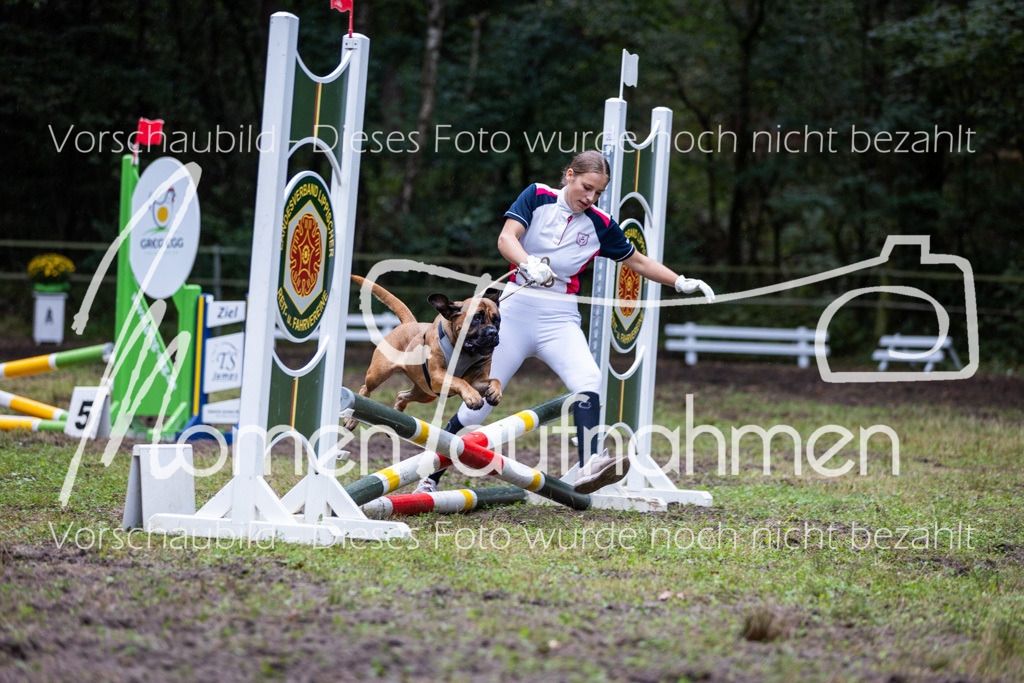 HB-JaD-040 | MomenTaufnahmen Pferdesportfotos