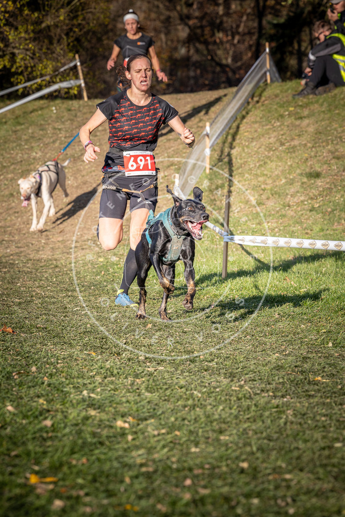 CaniXpix_0L8A9349 | Hundefotografie, Tierfotograf, Pfotenfotografie, Fotoshooting Hund, Hunde Portrait, Hundesport, Hundeportraits, Heideshooting, Hunde, Sportfotograf, Hundefotograf, Turnierhundsport, THS,  - Realisiert mit Pictrs.com