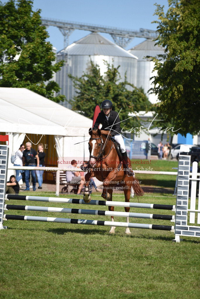 DSC_9189 | Pferde- und Turnierfotografie in Westsachsen. Pferdeportraits, Auftragszeichnungen und intuitive Kunst.