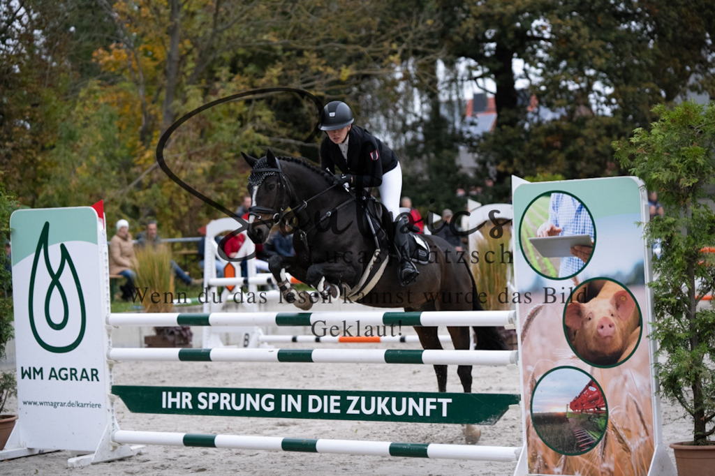 A7V08775 | Pferdefotograf