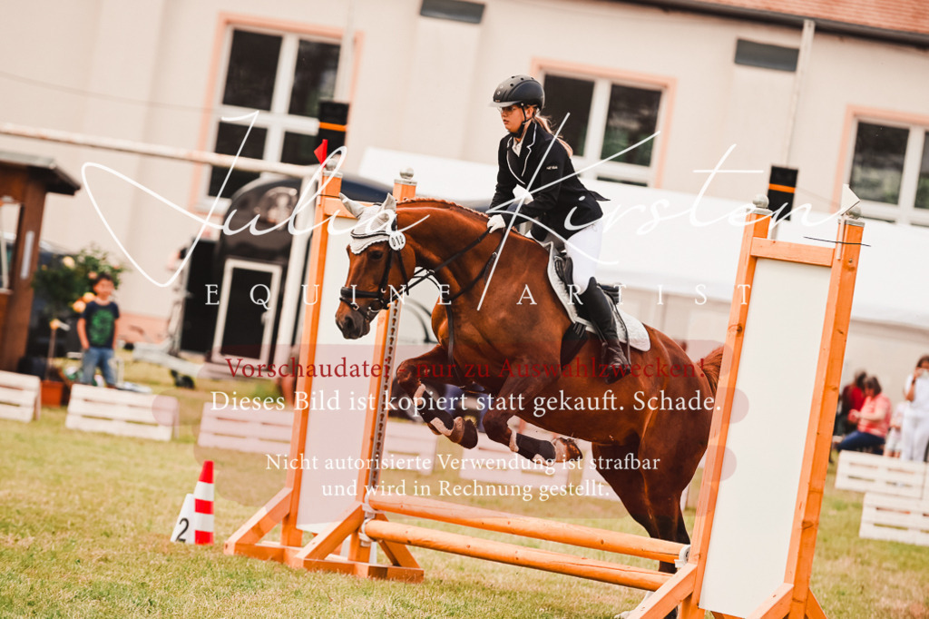 DSC_6866 | Pferde- und Turnierfotografie in Westsachsen. Pferdeportraits, Auftragszeichnungen und intuitive Kunst.