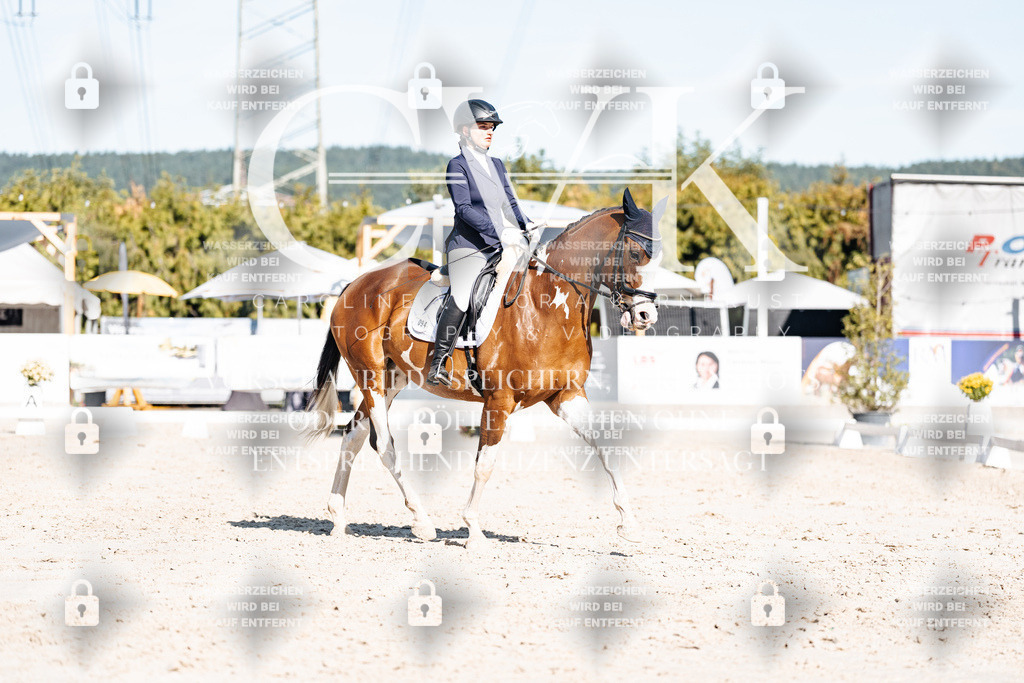 CK908156 | Turnierfotografie Pferdefotografie Trier Rheinland-Pfalz Pferdesport Reitsport Tierfotografie Sportfotografie Pferdevideo Pferdevideografie Equestrianvideography equestrianphotography  - Realisiert mit Pictrs.com