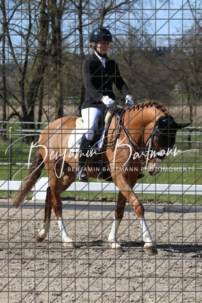 AZ2A4817 | Benjamin Bartmann Photomoments