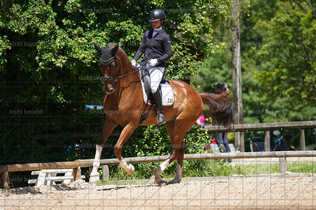 20240705-FAH03602 | Turnierbilder von Grafing, Reitsportbilder, Turnierfotos, Turnierfotografen Bayern, Pferdefotograf, Fotoagentur Herrmann