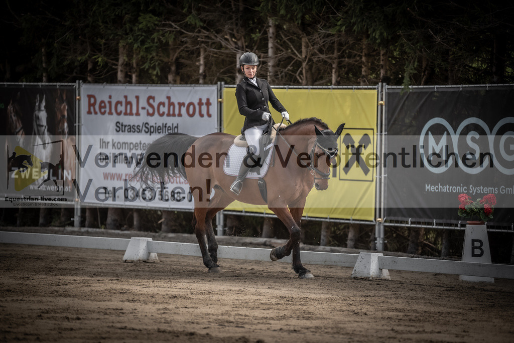 DSC_8531 | equestrian-live-com