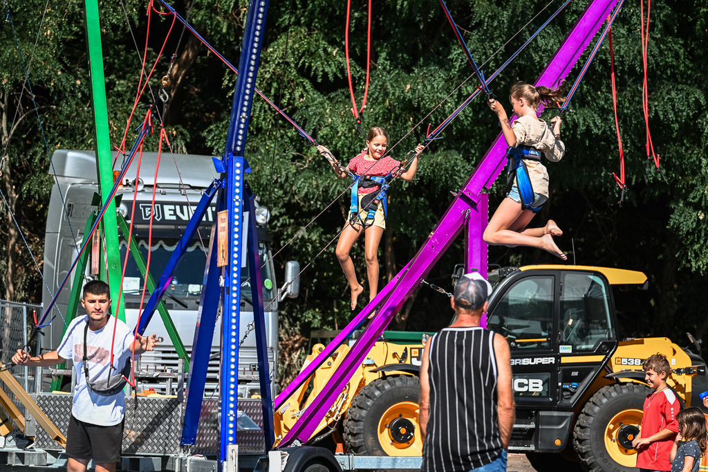 DSC_1261 | Pferde- und Turnierfotografie in Westsachsen. Pferdeportraits, Auftragszeichnungen und intuitive Kunst.