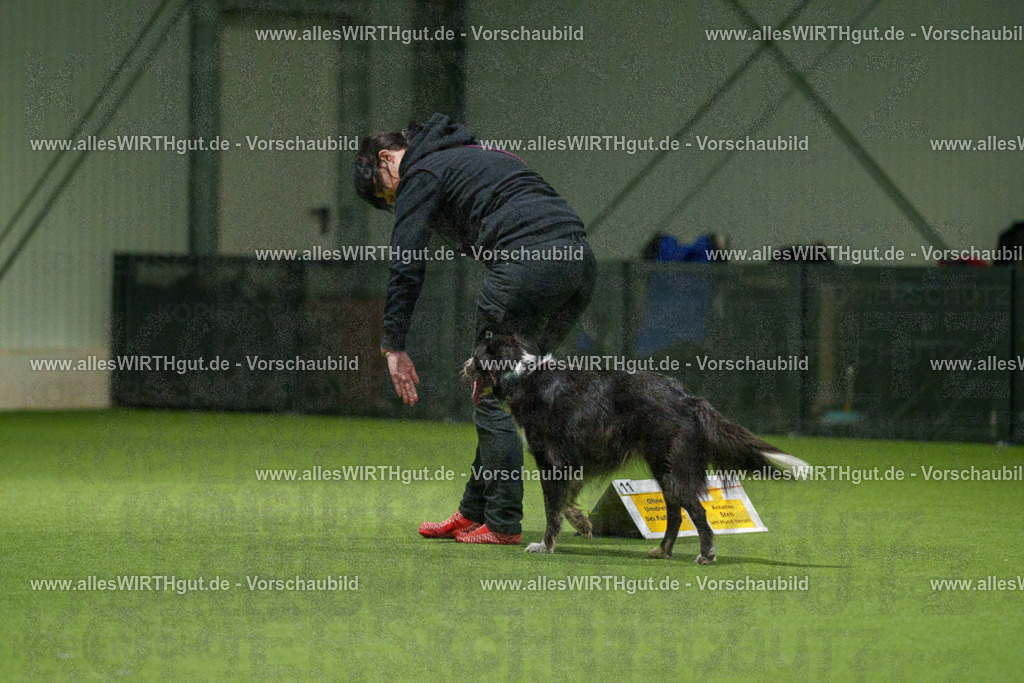 7R507299 | Professionelle Tierfotografie in Mönchengladbach von Daniel Wirth (allesWIRTHgut). Liebevolle & natürliche Bilder von Hunden & Katzen für unvergessliche Erinnerungen.