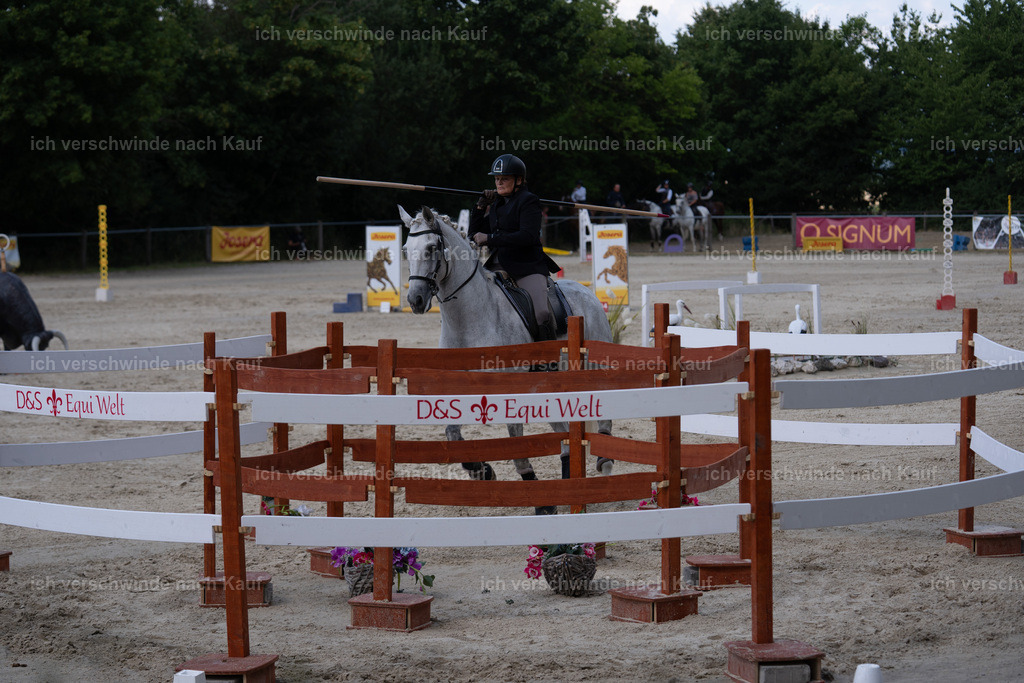 WS_SP_43_SinaFilmArt_IN08351 | working equitationturnier fotograf videograf stoibphotography marixx film working equitation deutschland reitsport turnierfotografie eventfotografie equestrian events