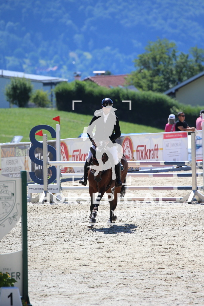 DL2Q3456 | Willkommen bei Brunnmayr - Design & Fotografie – Ihrem Spezialisten für Reitturniere und Pferdeveranstaltungen in Oberösterreich, Salzburg und Bayern! Seit über 17 Jahren sind wir leidenschaftlich dabei.