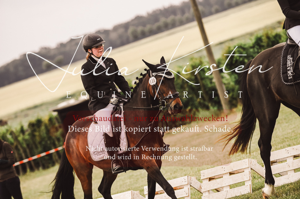 DSC_4930 | Pferde- und Turnierfotografie in Westsachsen. Pferdeportraits, Auftragszeichnungen und intuitive Kunst.