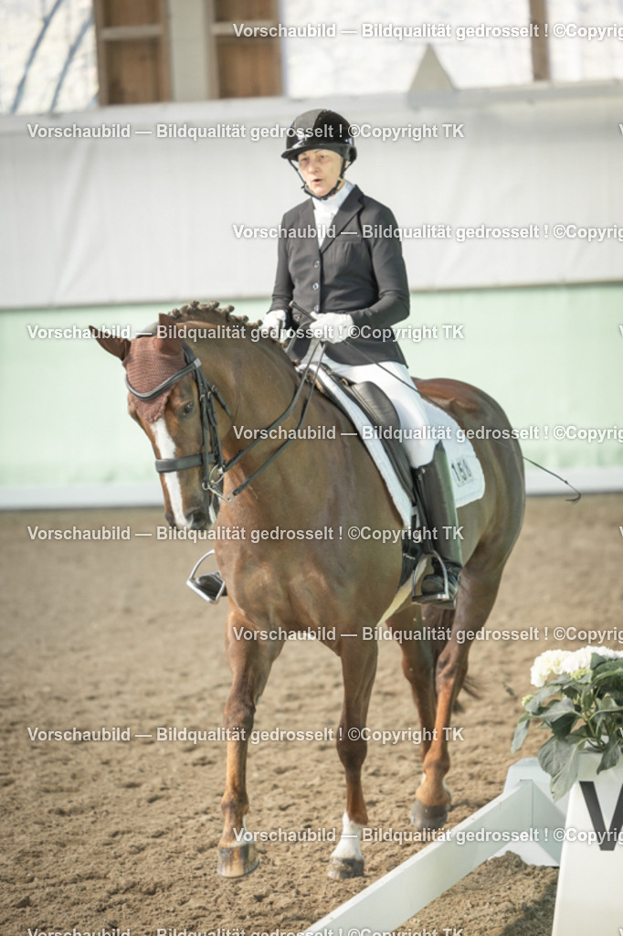 _D5A1187 | Emotionale Pferde- & People-Fotografie rund um Heidelberg, Leimen & Umgebung. Natürliche Fotos von Pferd, Mensch & Familie. Jetzt Termin sichern!