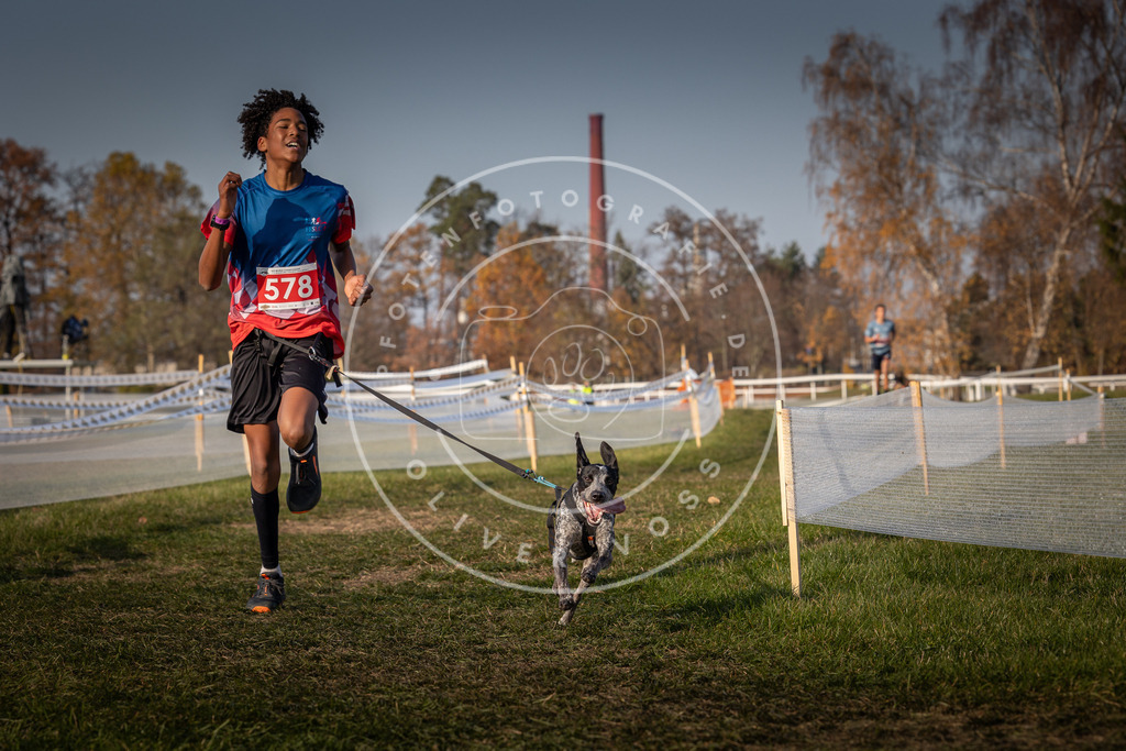CaniXpix_0L8A9709 | Hundefotografie, Tierfotograf, Pfotenfotografie, Fotoshooting Hund, Hunde Portrait, Hundesport, Hundeportraits, Heideshooting, Hunde, Sportfotograf, Hundefotograf, Turnierhundsport, THS,  - Realisiert mit Pictrs.com