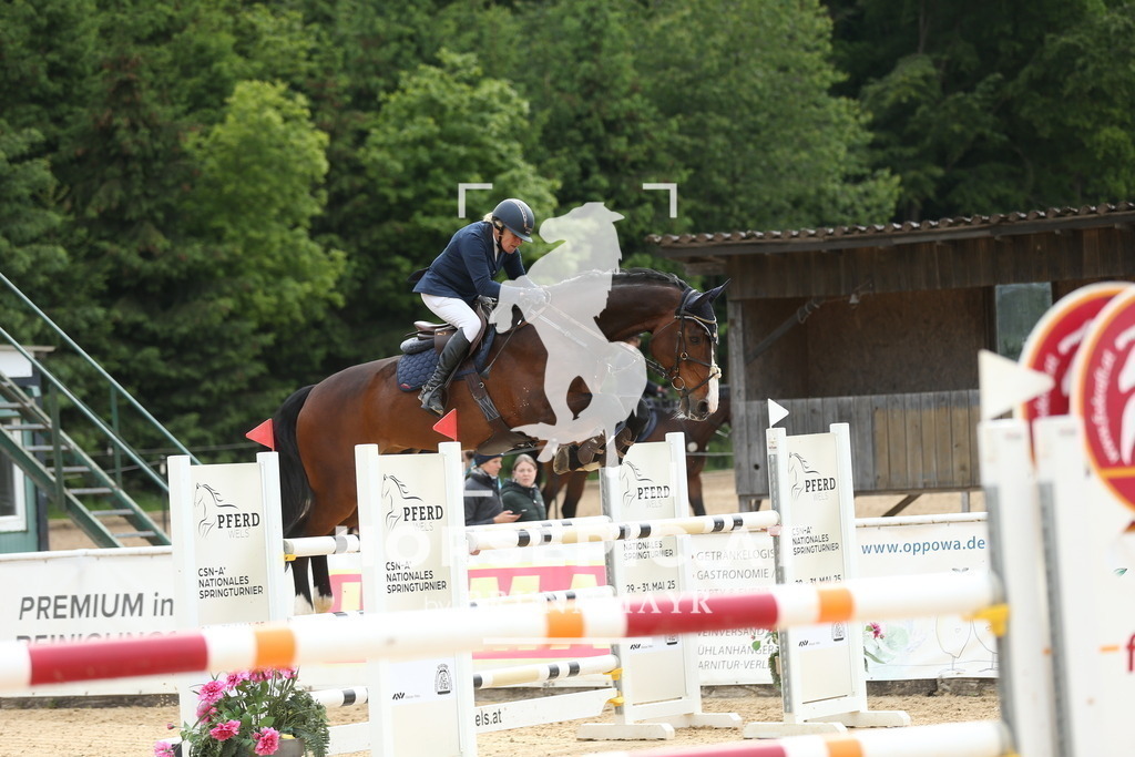 DL2Q4028 | Willkommen bei Brunnmayr - Design & Fotografie – Ihrem Spezialisten für Reitturniere und Pferdeveranstaltungen in Oberösterreich, Salzburg und Bayern! Seit über 17 Jahren sind wir leidenschaftlich dabei.