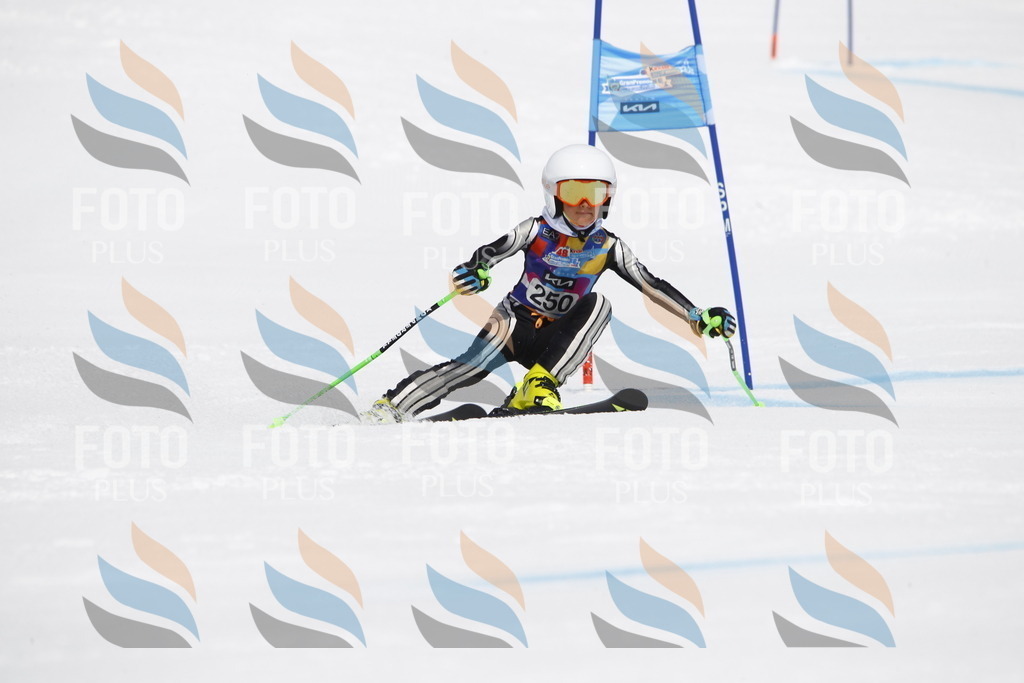 _U3G6319 | holidayphoto